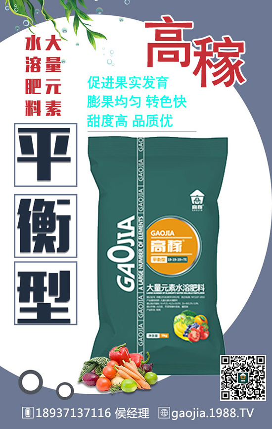 ���~����ա���߮a(ch��n)��ʩ�ʼ���Ҫץ�Σ�