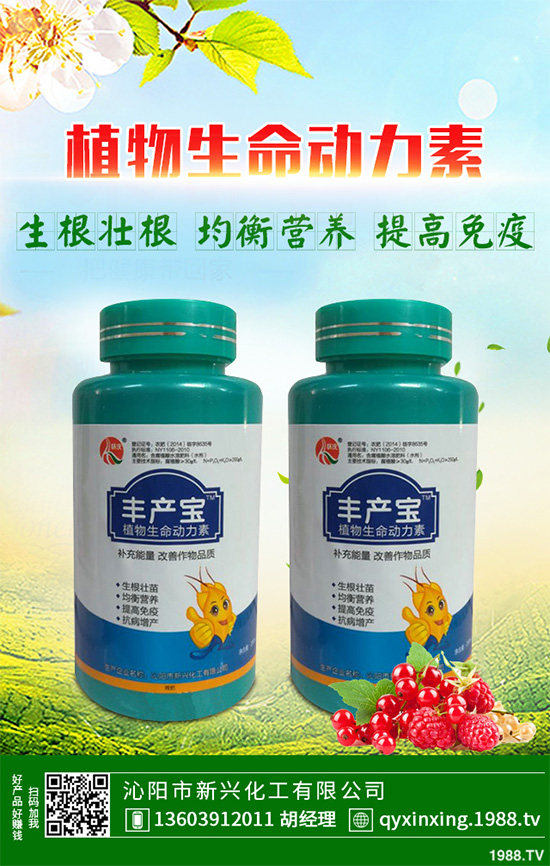 怎樣才能種好大白菜?大白菜高產(chǎn)種植技術(shù)要點(diǎn)