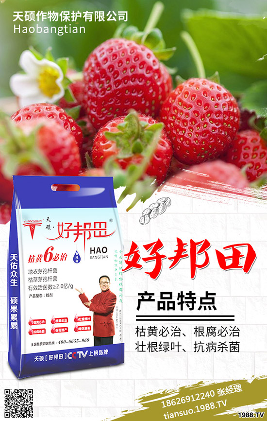 2020年農(nóng)村種植什么水果賺錢？哪些種果樹品種比較好？