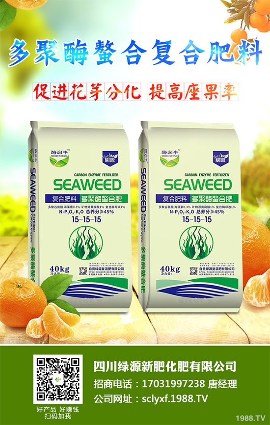 冬季南瓜該如何種植?反季南瓜大棚種植技術(shù)