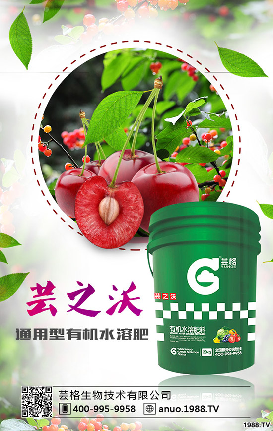 ������ԓ��ηNֲ��������ķNֲ��������