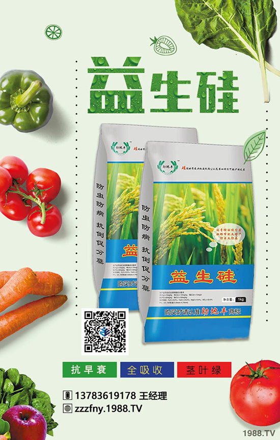 卷心菜好吃又不貴,但卷心菜施肥增產有方法