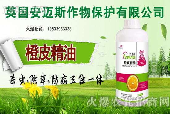 10�·Nֲ��Щ�߲˸����m�����g����Ҫ���c(di��n)ץ���Ď��c(di��n)��