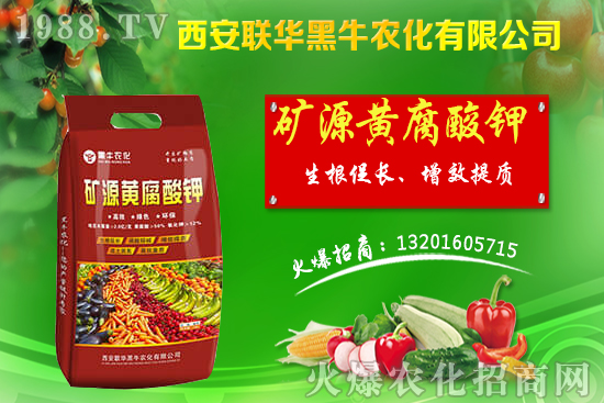 秋季果樹該如何管理？秋季果樹管理應避免的四大誤區(qū)！