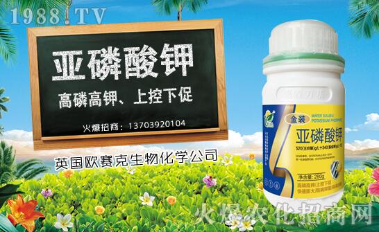 木瓜什么時候種植？木瓜種植時間及種植技術(shù)要點！