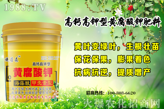 ��ݮ���L��(du��)�h(hu��n)��Ҫ������Щ���＾��ݮ��ֲע�����(xi��ng)�͹�����ʽ��