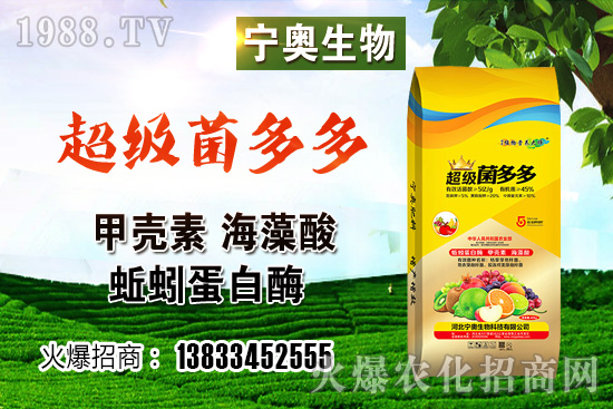 ��ɫ��Ҭ�˶����Xһ������ɫ��Ҭ�˷NֲЧ����������ӷNֲ��