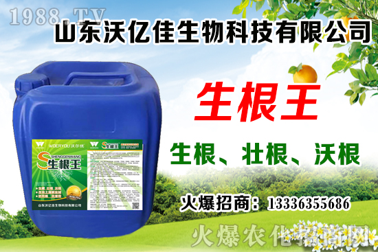 Ӱ푲�ݮ��ѿ�ֻ���������Щ����ݮ��ѿ�ֻ����c��ֲ����Ҫ�c(di��n)��