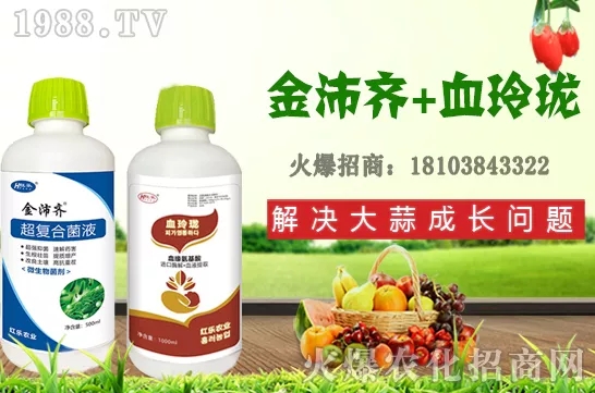     四季石榴生長習性有哪些，四季石榴栽植技術及花果期管理！