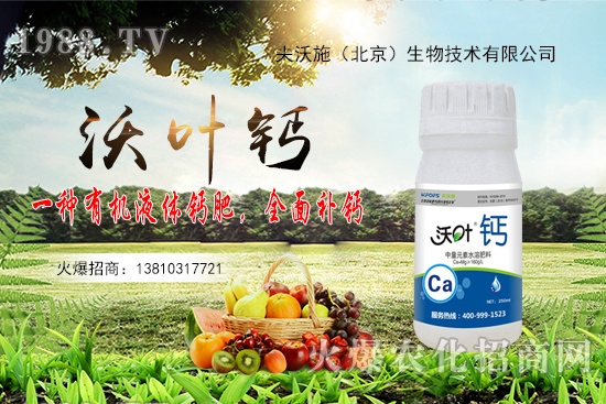 ����߀���ٝq����2020��10��20�ջ����r������