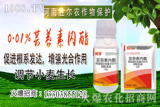 С���r���ϝq��(ji��)����u�d�������п�����10��22��С���r������