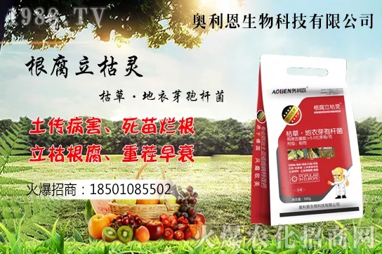 ���������Ĵ��`�^(q��)���Ď��c(di��n)�������߹�����ֲ�ĳɻ�����