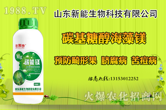 ���������ݮ���ι�ԭ�򣬳��F(xi��n)���ι���ô������