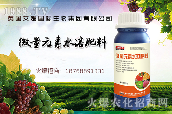 鐵、鋅、硼缺失癥狀，怎么補(bǔ)充作物所需元素？