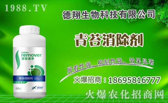 �Ͳ�ʲô�r(sh��)�g�Nֲ���Ͳ˷Nֲ������ʲô������Щע�����(xi��ng)��