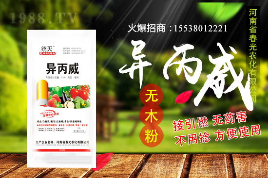 蒜苗種植前景及怎么樣?蒜苗種植要點及田間管理!