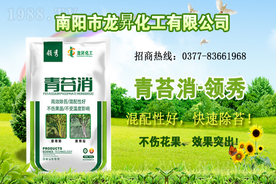 大豆供不應求，價格持續(xù)上漲！各地大豆價格行情