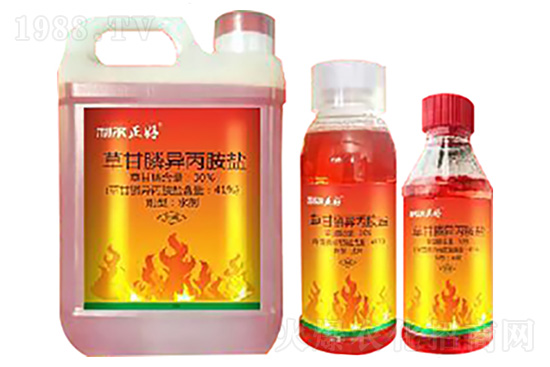 ���ס�ݬȥ����݄��r��2020-11-18