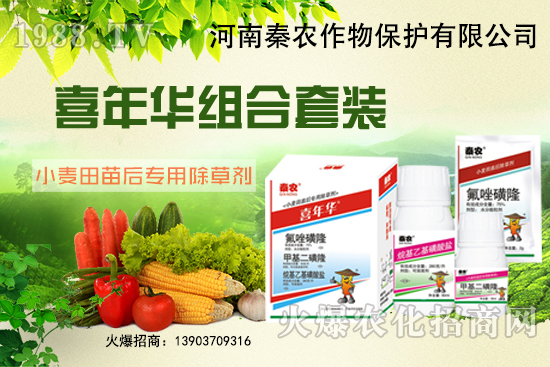 С����ʲôҪ��ǰ�������xʲô���݄�Ч���ã�