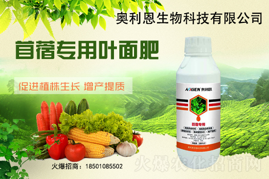 ��ޣԽ������ôʩ����ޣ��ʩ�ʹ���