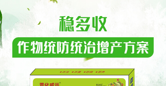 ����y(t��ng)���y(t��ng)�����a����-��(w��n)����-�滯���h_01