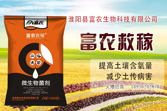 2020-11-24�ո��ػ����r������