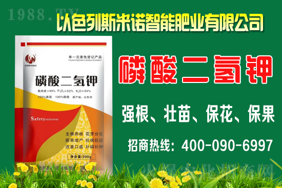 柑橘什么時(shí)間施肥？柑橘的施肥時(shí)間及用量介紹！