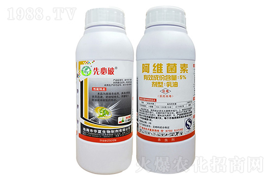 �׾S�x���暢�x���r���߄�2020.11.28