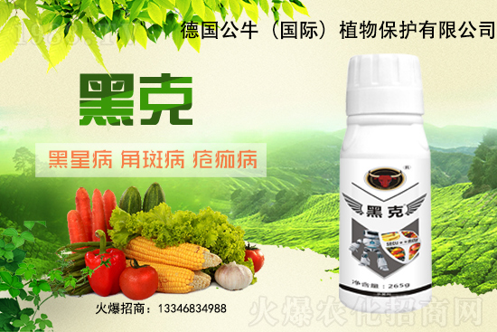 �|��������3Ԫ/��᣿11��28�մ󶹃r(ji��)������