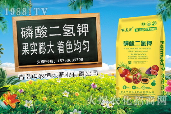 ����С���r(ji��)���ϝq�������Ƿ��(hu��)���m(x��)�ϝq��