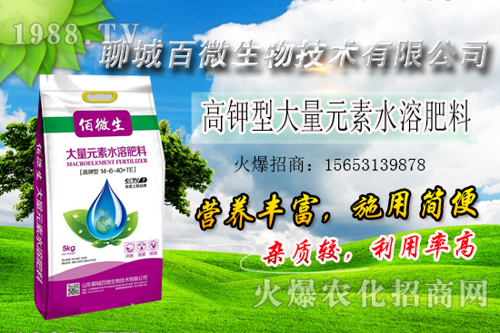 �׌�ֲ�����Ҫ������Щ���׷���ʲô������ԓ��������