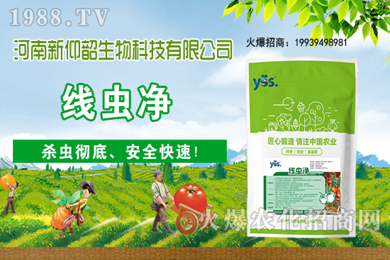 11��6�Շ���(n��i)С���r(ji��)���ව(w��n)���ֲ�С������(d��ng)��