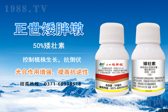 С����ǰ���L(zh��ng)��ʲôΣ������ȡʲô��ʩ����Ч��ͽ�L(zh��ng)��