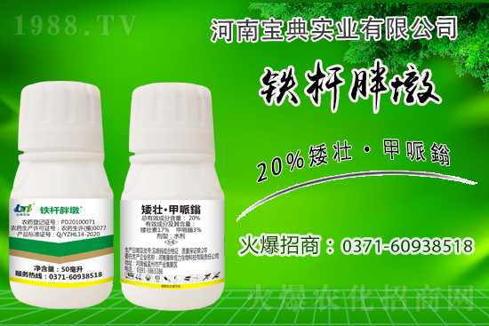 С����ǰ���L(zh��ng)��ʲôΣ������ȡʲô��ʩ����Ч��ͽ�L(zh��ng)��