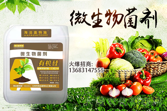 寒潮來襲!大棚持續(xù)低溫,作物生根要點!