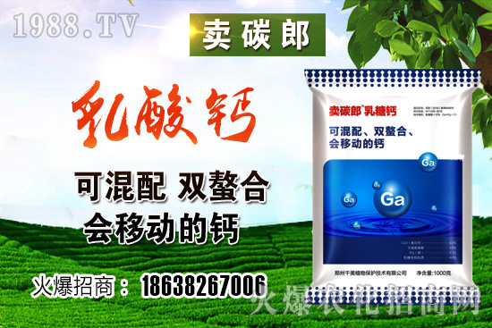 政策阻力較大，小麥價(jià)格整體高位趨穩(wěn)！