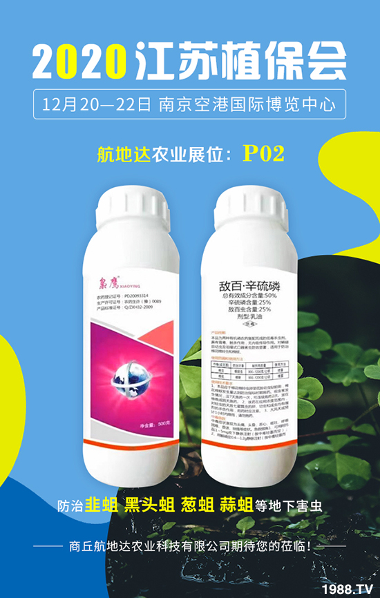 2020���Kֲ�����������_�r(n��ng)�I(y��)�����������@ϲ���������u�B�B��