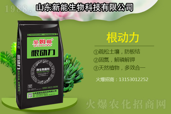 �������������ԭ�����ģ���Q����������ʩ��ô����