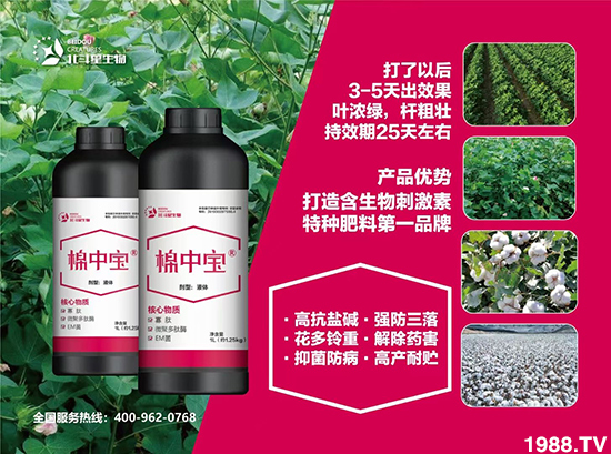 特種肥為什么這么火?有什么特點之處?