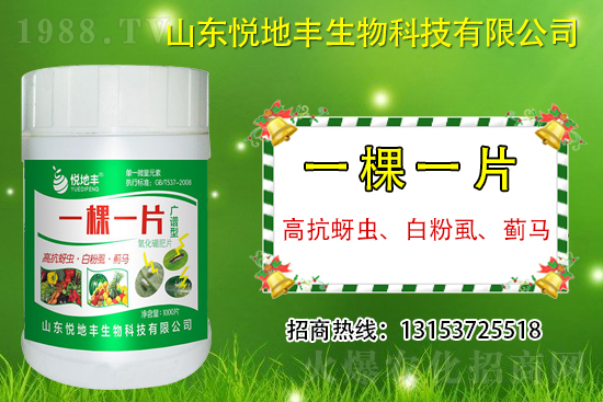 高抗蚜蟲、白粉虱、薊馬用什么打？一蟲不留？