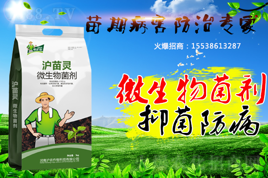 �������ڲ����������������������A�����������ˆ���