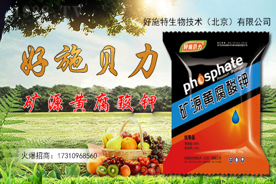 �󽪶����X(qi��n)һ�����󽪷Nֲǰ������������Nֲ���g(sh��)��