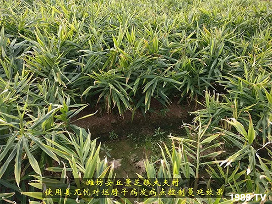     �l(f��)�������a(ch��n)Ʒ������أ�n������ʽ���ؠ����Ӳ����Ñ���������Ч����������