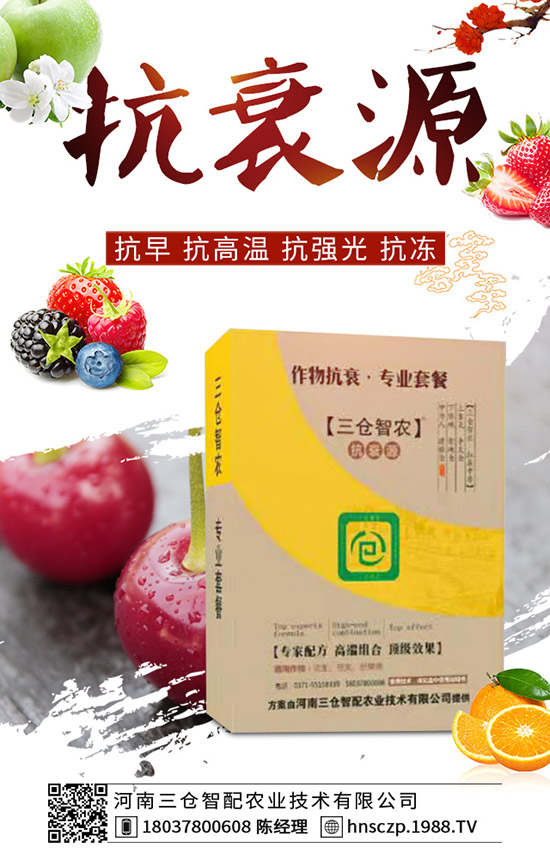 ���·��m�ϷNֲʲô�߲ˣ����·��߲˷Nֲע�����(xi��ng)��