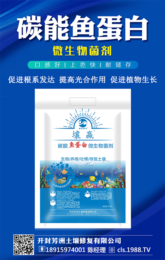 豆角種植時(shí)間,豆角生長過程的管理要點(diǎn)!