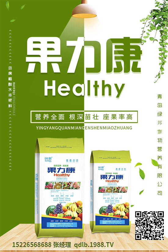 �����ĸ������g�Y���������ĸ����İl(f��)��Ҏ(gu��)�ɼ�������