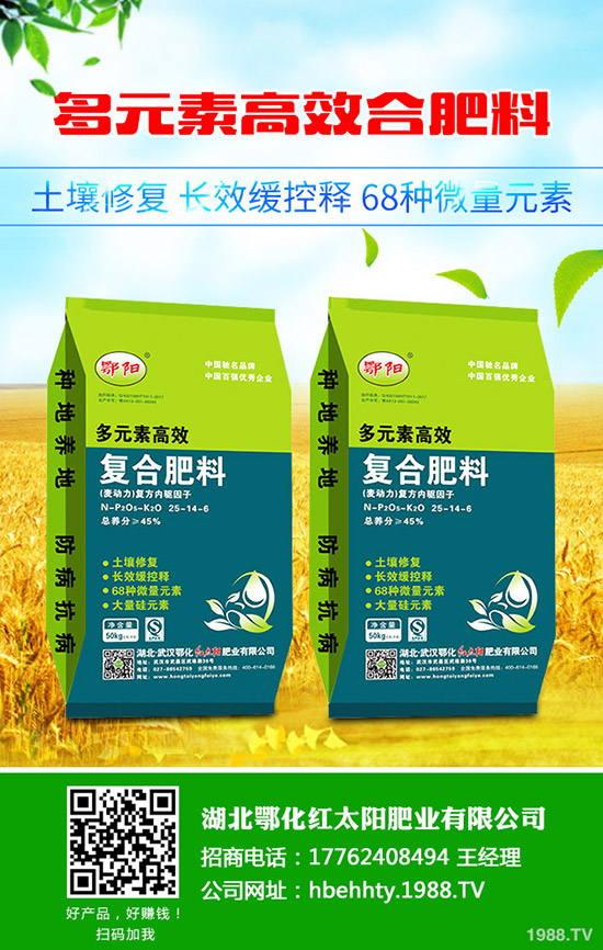 豆角種植時(shí)間，豆角種植方法要點(diǎn)！