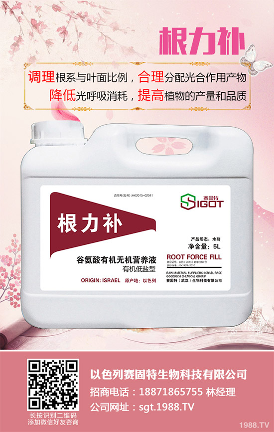 小麥春季常見的病害有哪些？該如何防治？春季小麥病害防治方法介紹