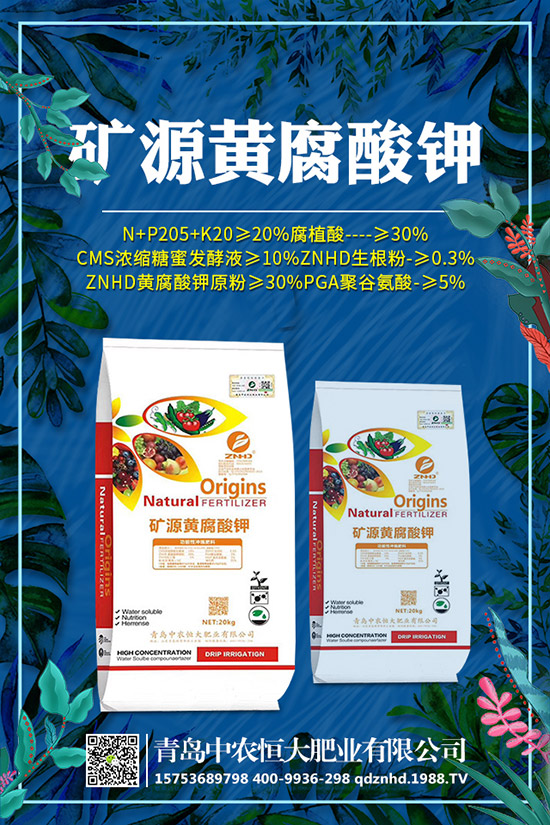 �紺���˷Nֲ���g(sh��)����Щ�����g����Ҫע��ʲô��