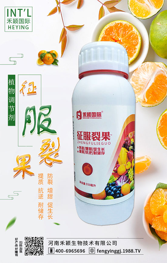 ����ʲô�r�g�m���ԷN�����ٷ�ˮ��������Щ��